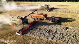 4Kᵁᴴᴰ Harvest 2023: Two Claas Lexion 8800 TT combines in very dusty wheat in Suffolk - Part 1 of 2!!