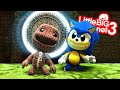 Sonic & Sackboy - The Gardens Revisited | LittleBigPlanet 3 PS4 Gameplay