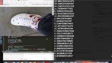 opticalFlow