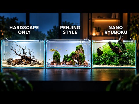 3 Aquascaping Styles Everyone Should Try