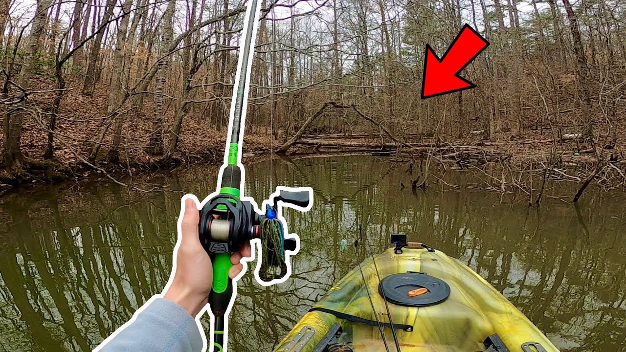 Pre-Spawn Fishing SHALLOW Creeks for MONSTER Bass!!
