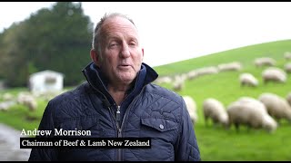 BLNZ chair reflects on leading a fractious sector - Rural Leadership Special Report