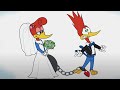 El Pájaro Loco Woody Tiene Miedo Al Matrimonio El Pájaro Loco