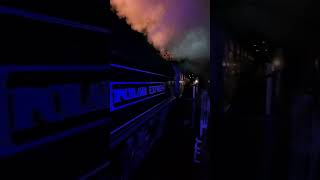 The Polar Express - South Devon Steam Railway