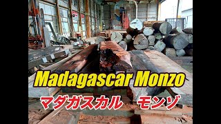 東アフリカ・マダガスカル　モンゾの製材動画です。