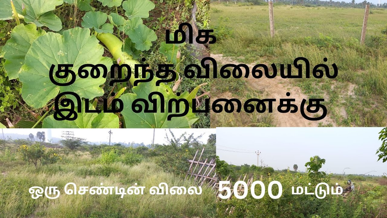 5 Acres Land for Sale in Urumankulam Tirunelveli lowprice Land
