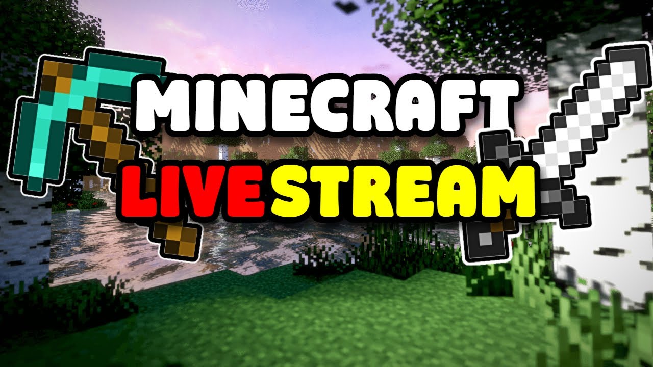 🔴 Minecraft JAVA LIVE - Multiplayer Server - YouTube