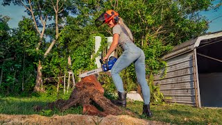 Let’s cut open this BIG log with a Wild Badger Chainsaw