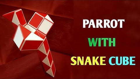 How to make Parrot with Smiggle Snake Cube | Rubiks Snake Puzzle | Trendz Videos