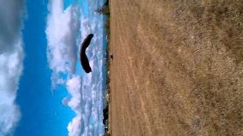 Hamms Skydiving in Toledo, WA