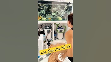 Unbox & Review Lọc phụ Marine 204, hỗ trợ đắt lực cho lọc thùng hồ cá cảnh #nuoicacanh #giadinhmeca