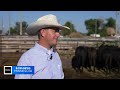 White House beef import plan caused cattle values to drop 10% overnight, Wyoming ranchers say
