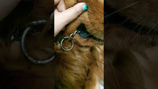 Whats Inside My Mouth?