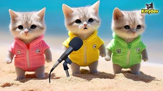 RAHMATUN LIL'ALAMEEN VERSI DJ KUCING SHOLAWAT GEMOY WARNA WARNI