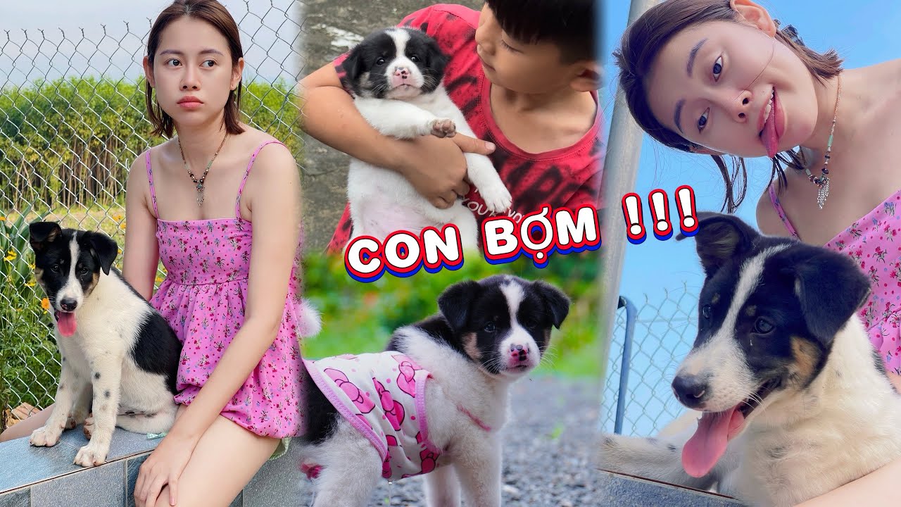 Chỉ Ai Nuôi Chó Có Mới Hiểu !!!