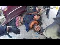 Chaos ERUPTS at Traffic Stop! Officer Involved Shooting in Chicago