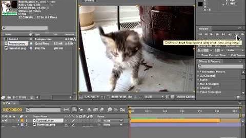 Adobe After Effects CS5 Tutorials - Edit Video, Loop Footage Part No.2