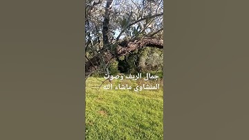 المنشاوي ماتيسر من سورة {غافر} #سور_من_القران_الكريم 💜