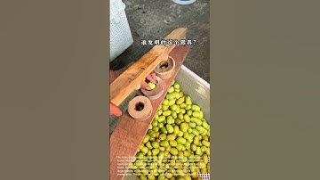Efficient Fruit Pitting Device: Streamlining Jujube Processing