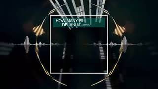 Delanua - How Many Fill (Zyx Edit Remastered 2022)