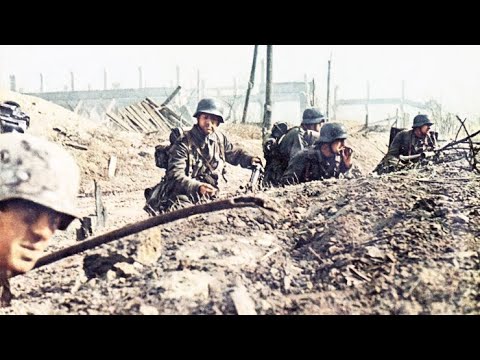 Video: Lake Elton, Volgograd-regionen: Hvile Og Behandling Med Helbredende Gjørme