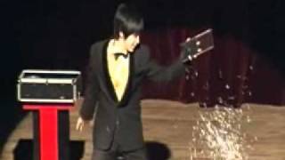 MagicArtist(2010 Fantasia)
