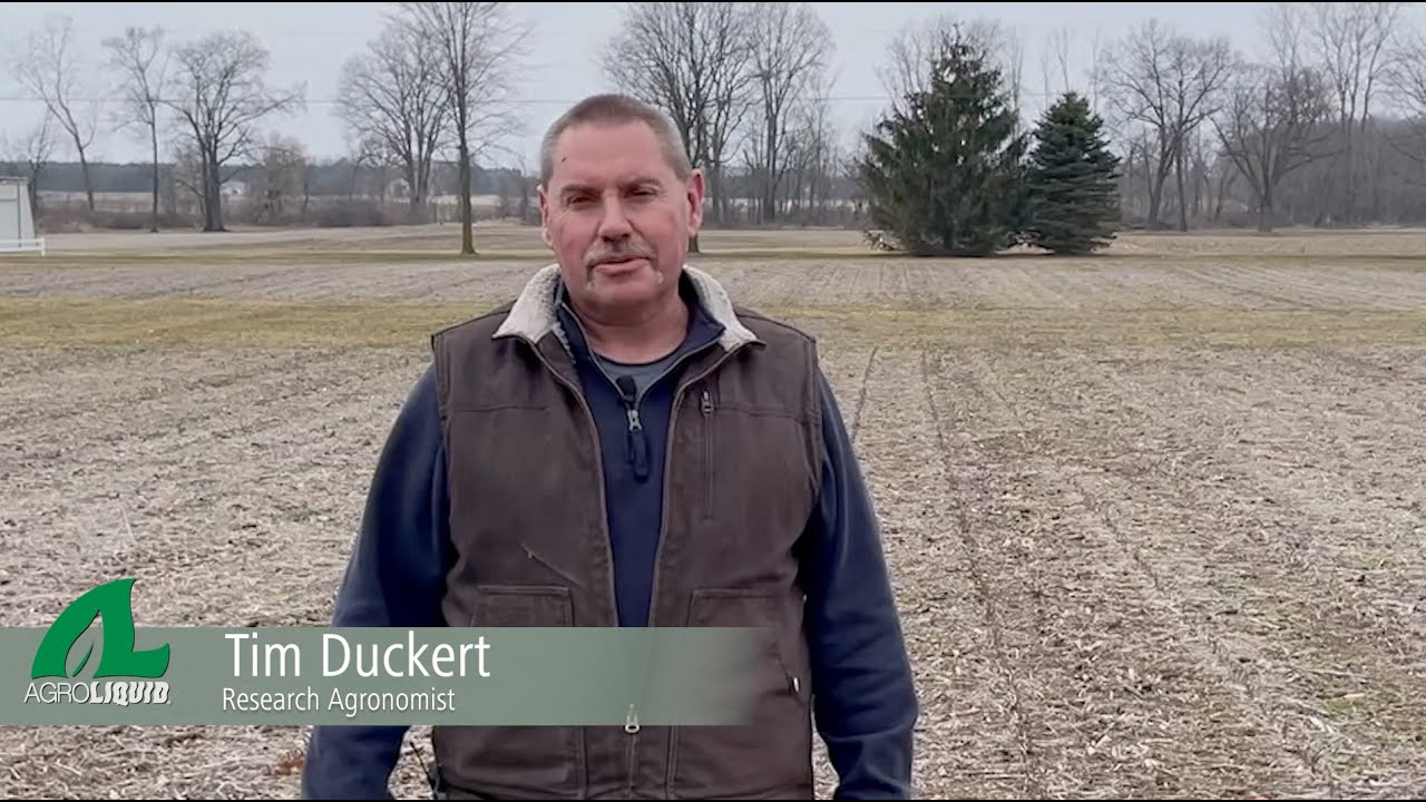 Agronomic Advisor Focus | Sugarbeet growth, development, and nutrient requirements