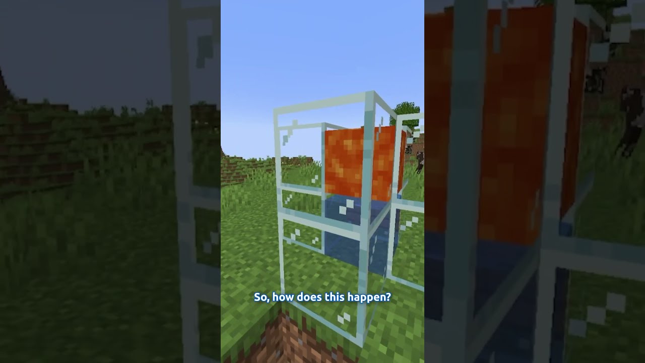 This Potion Can Save You