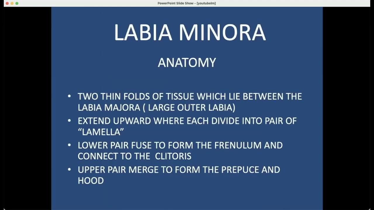 LABIAPLASTY WHAT YOU NEED TO KNOW YouTube