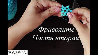 :  -   ( )