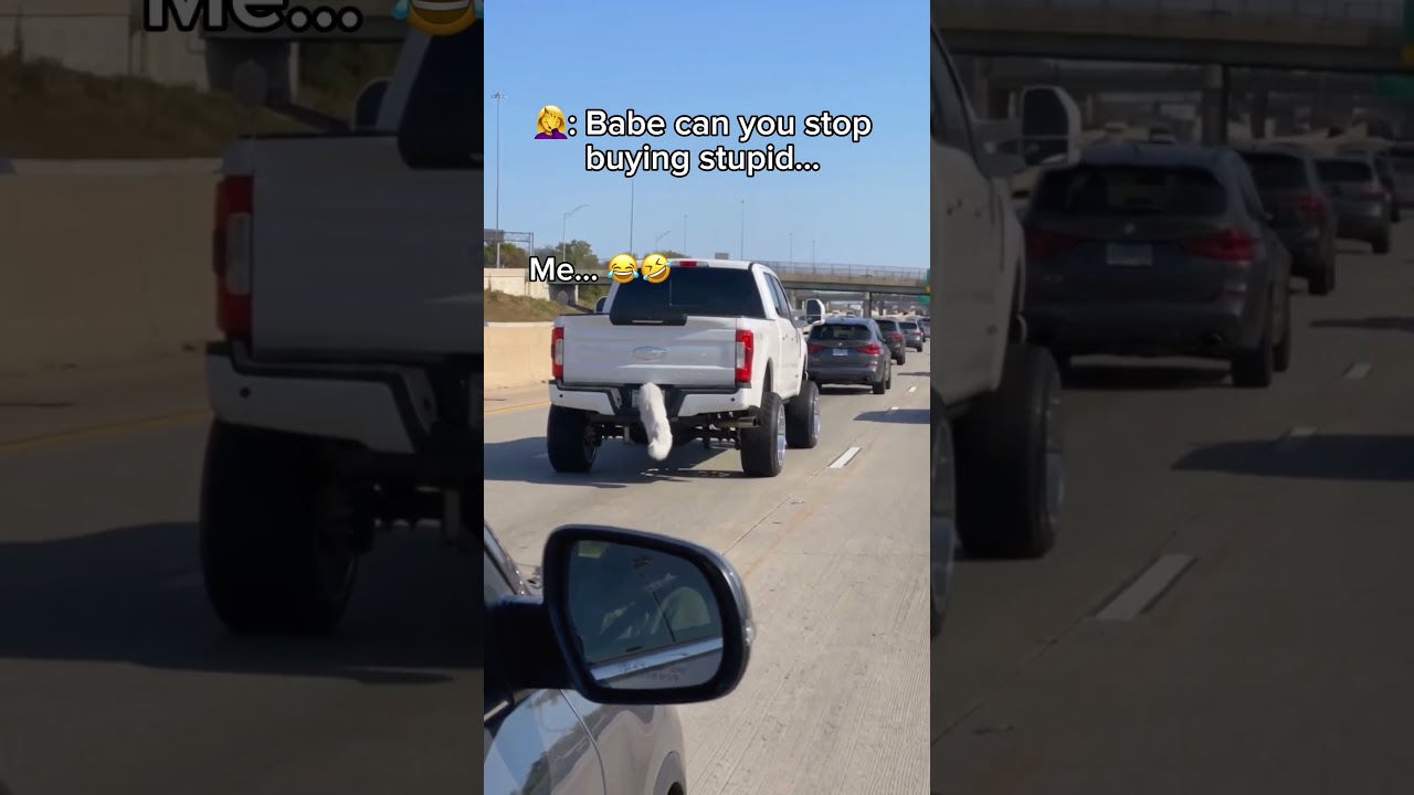 Comment “WAG” if it’s a need 😂 #funnygifts #caraccessories #liftedtrucks #truck