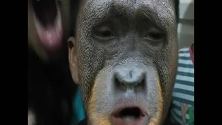 Anak berubah jadi monyet