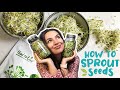 How to sprout seeds  easy guide  foolproof method