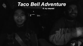 we almost ran over a cat ..