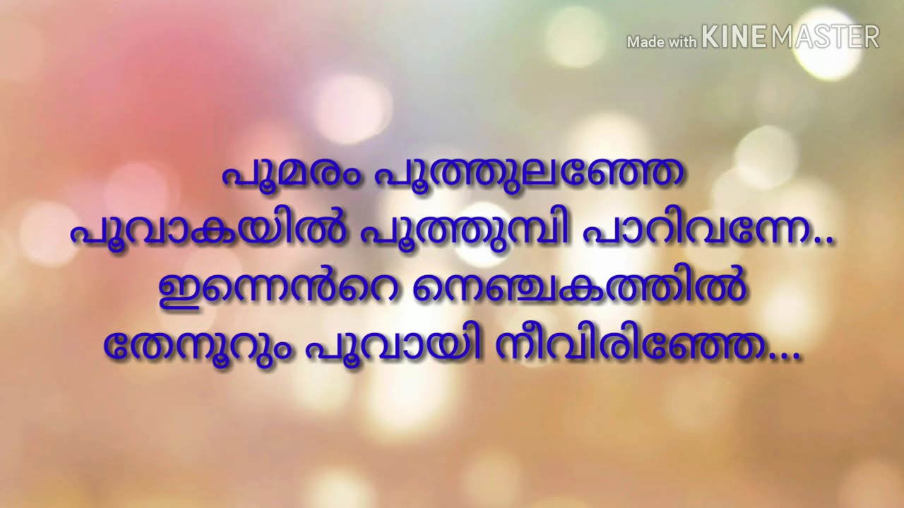 Poomaram poothulanje karokka with lyrics