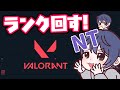 valorant 練習