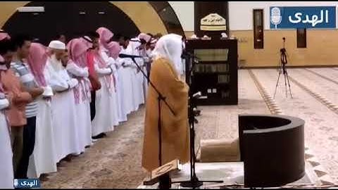 ما تيسر من سورة ص بصوت عذب من الشيخ ياسر الدوسري من جامع الدخيل ❤️❤️