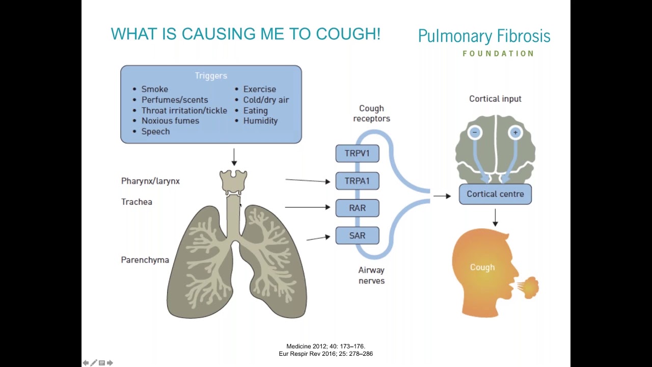 Cough 101: An Overview Of Cough In Pulmonary Fibrosis