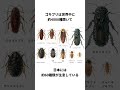 【超閲覧注意!】気持ち悪すぎる最強生物『ゴキブリ』に関する面白い雑学 #shorts