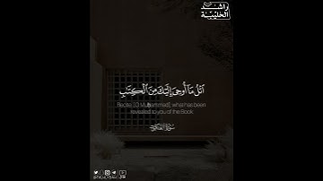 ﴿وتلك الأمثال نضربها للناس وما يعقلها إلا العالمون﴾ | القارئ: راشد الحليبة