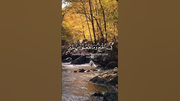 الحج أشهر معلومات | القرآن الكريم 🤲🏻 #quran #viral #قرآن