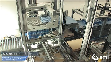 APS 4140 ERGON double column palletizer