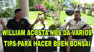 ¿QUIEN ES WILLIAM ACOSTA EN ESTE MUNDO DEL BONSAI?