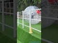 MASUK KE BALON RAKSASA !!