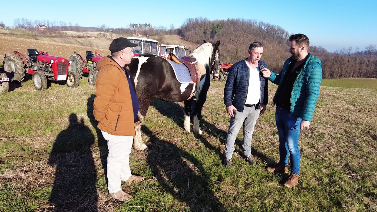 Preko noći se dogovorili i organizovali NEŠTO ŠTO ĆE TRAJATI?