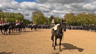 King's Guard HORSE FALLS at Horse Guards Parade & Many Loose Horses in Central London