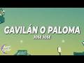José José - Gavilán o Paloma (Letra/Lyrics)