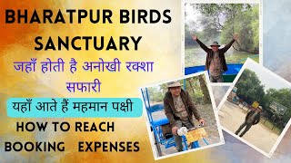 A Visit to Bharatpur Birds Sanctuary Keoladeo national Park Bharatpur Rajasthan