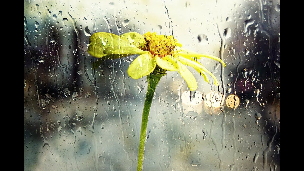 Rain sounds 10 hours relaxing rain nature sounds youtube