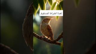 Surah Al-Fatiha by Egzon Ibrahimi | Beautiful Quran Recitation | Full HD Quran Tilawat